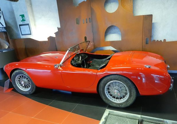 AC Ace Bristol 125 HP