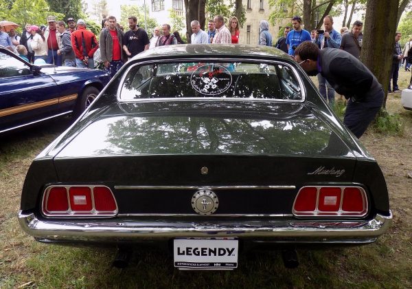 Ford Mustang 250