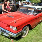 Ford Thunderbird Convertible 352